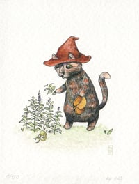 Image 1 of "Introduction To Field Botany" - Limited Edition Art Print
