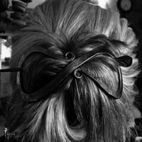 Image 3 of Viking Hair Hairpins