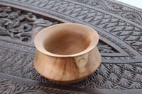 Image 1 of Small Elm pot