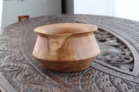 Image 4 of Small Elm pot