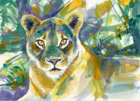 Image 1 of Amber Eyes - unframed original watercolour study