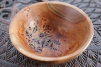 Image 5 of Small Burr Elm bowl B