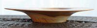 Image 3 of Elm wide rimmed bowl