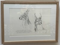 Image 2 of Caracal Studies - Framed Original Pencil Sketches