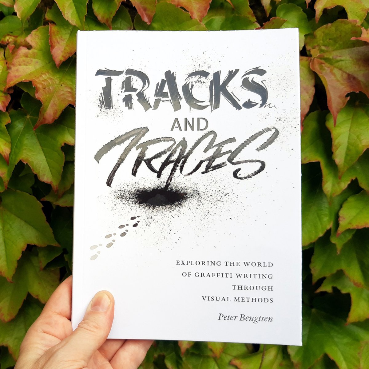 Image of Tracks and Traces