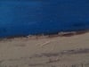 Dusk on the Beach (Harris) - Framed Original