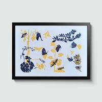 Image 1 of Moth party