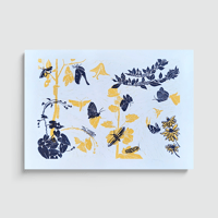 Image 5 of Moth party