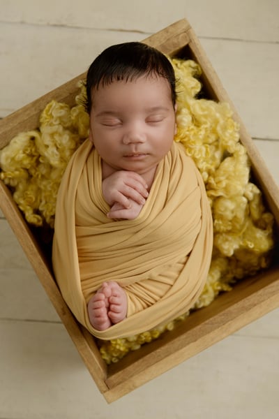 Image of One Day In-Person Newborn Wrap-Only Workshop (Fly on the Wall) - 2025