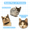 Dumb Pics of Patches Stickers
