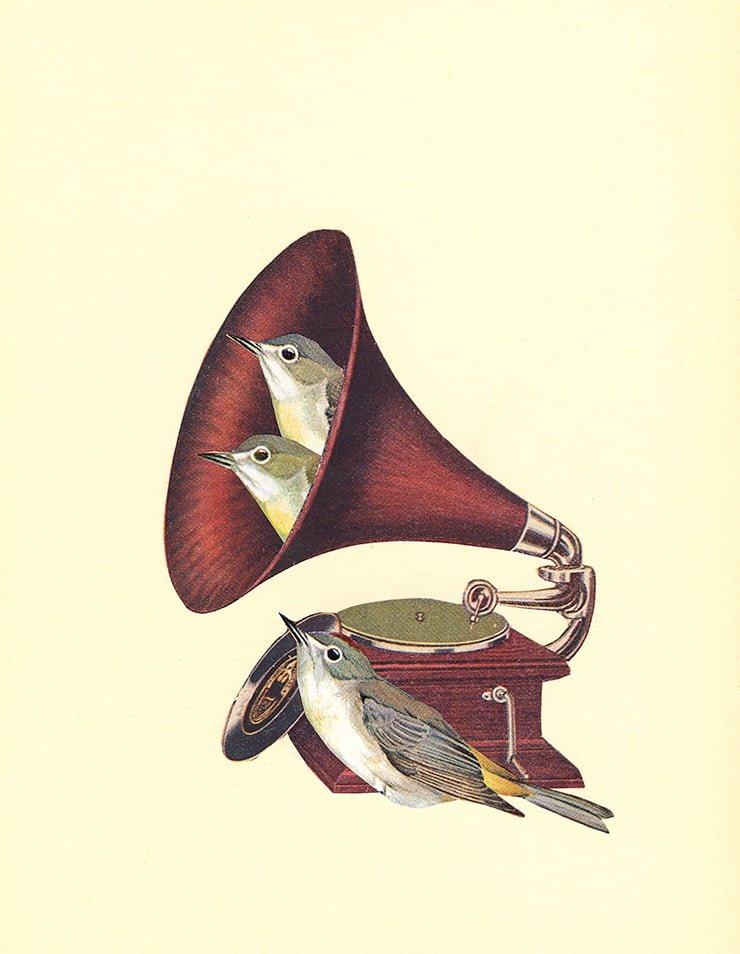 Image of Songbirds. Limited edition print.