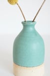 Coral Beach Bud Vase