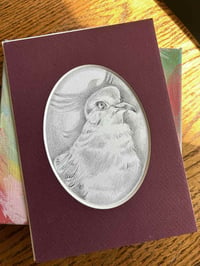 Image 1 of Zenaida macroura – Mourning Dove graphite Drawing
