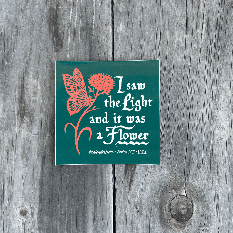 'I saw the Light and it was a Flower' Image 2