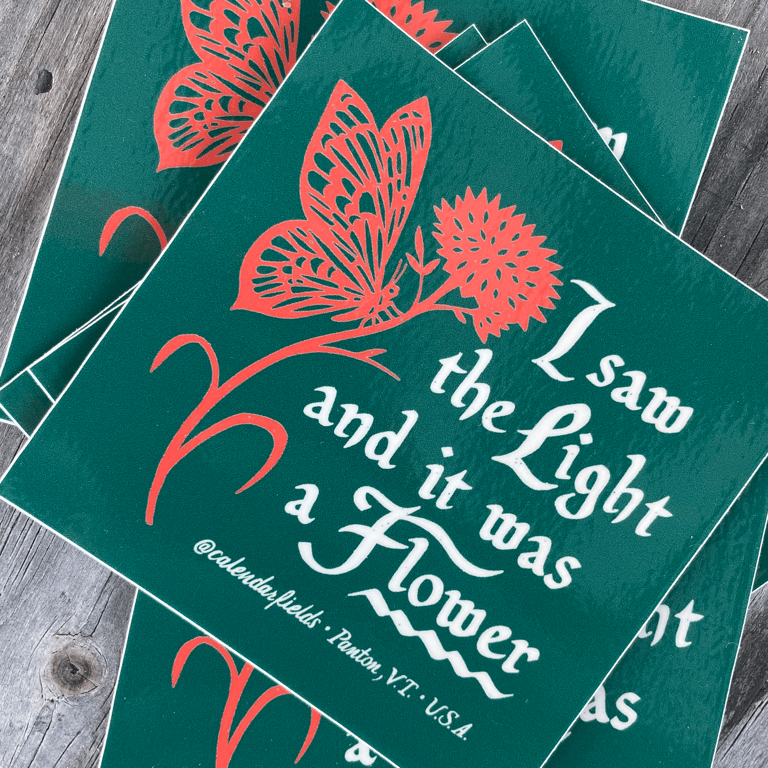 'I saw the Light and it was a Flower' Image 3