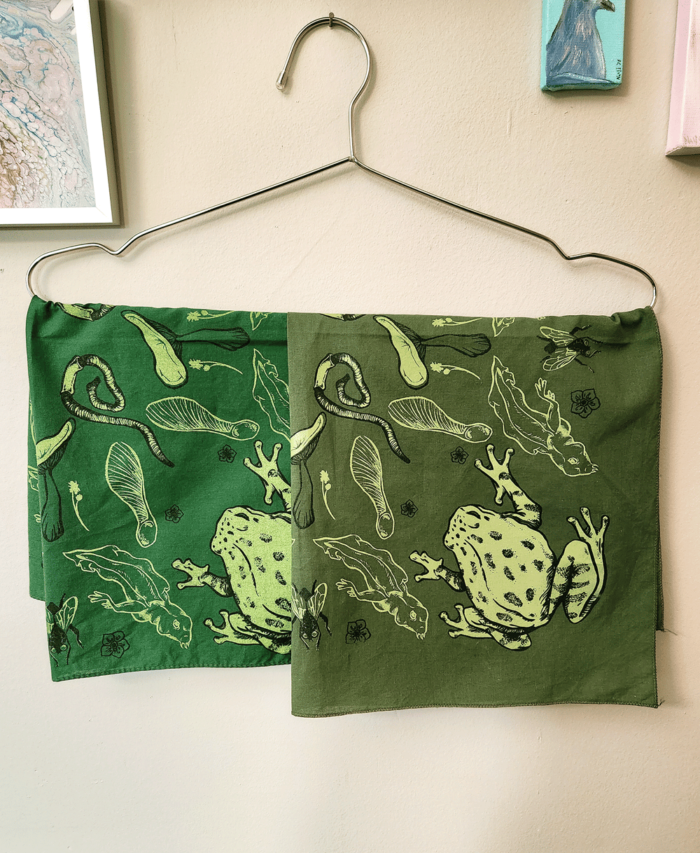 Image of Frog Bandana