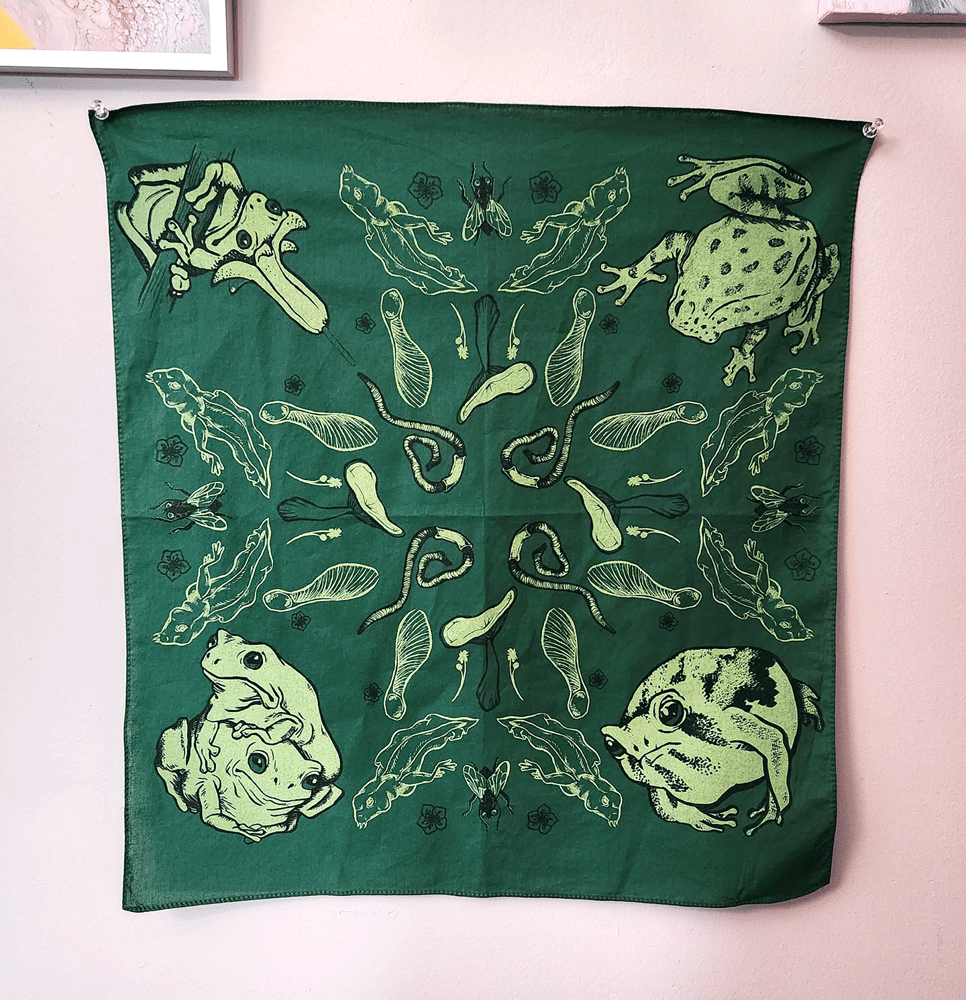 Image of Frog Bandana