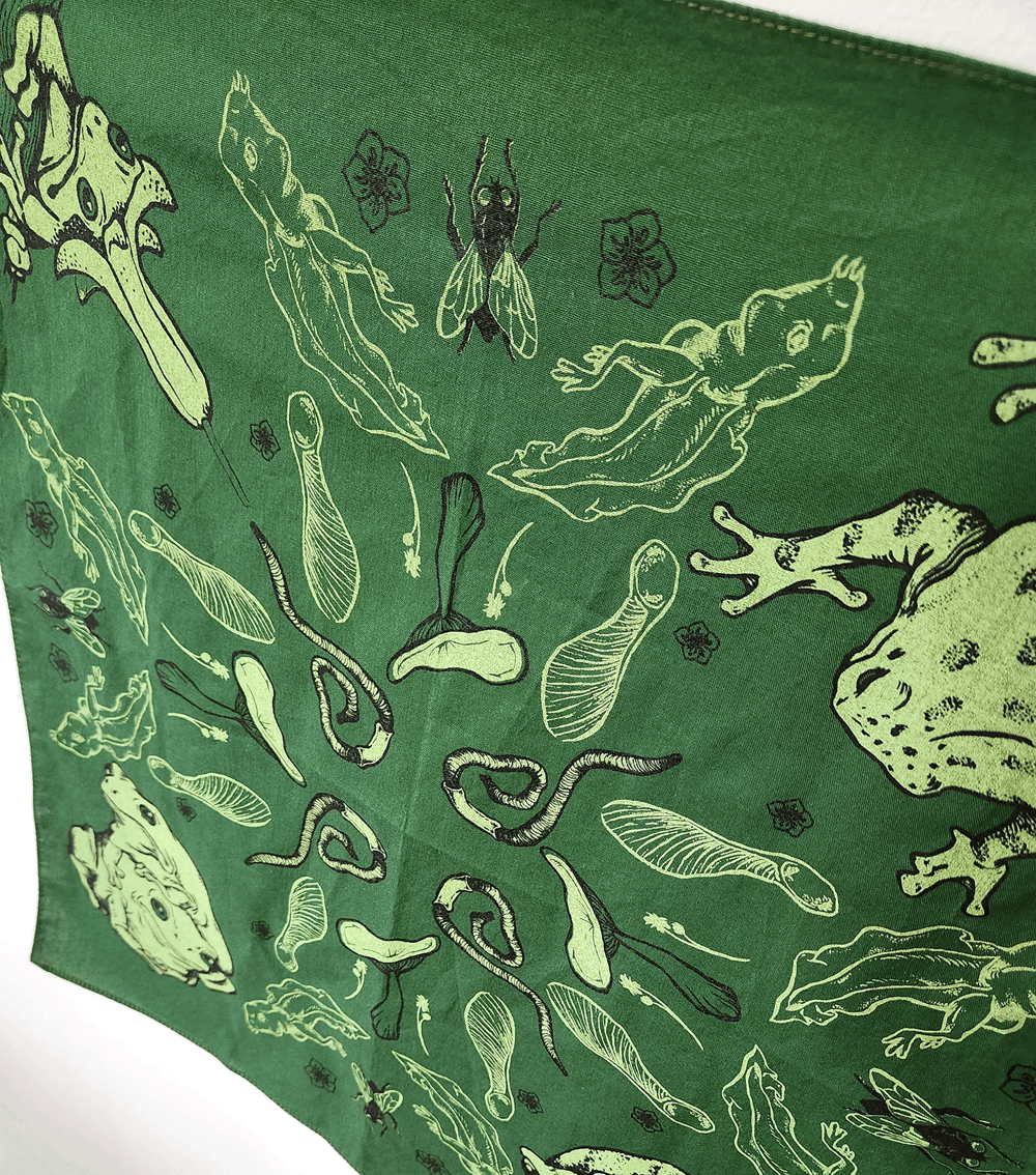 Image of Frog Bandana