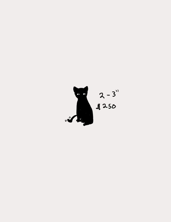 Image of  Black cat