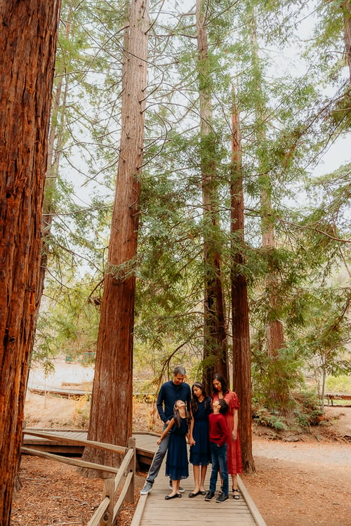 Image of Sunday October 29th Redwood Grove Los Altos Mini Sessions