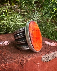 Image 1 of WL&A Handmade Heavy Ingot Split Band Spiny Oyster Ring - Sizes 12