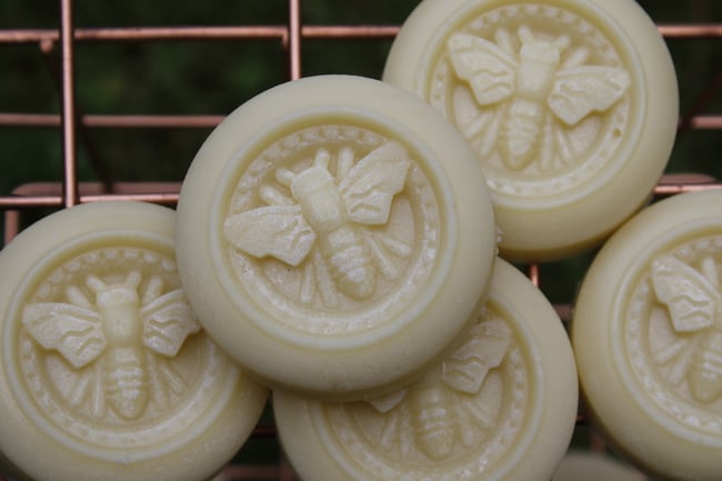 Beeswax Lotion Bars