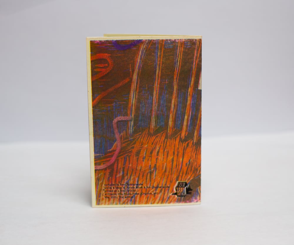 Image of In Print: Some Thoughts on Finitude and Possibility  compiled by Am Chunnananda words & ideas by Aur