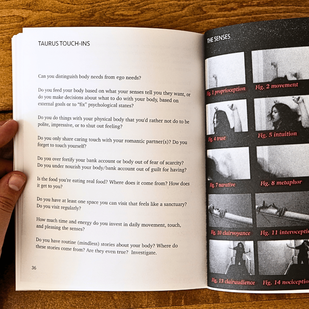 Image of The Cosmic Event of the Body