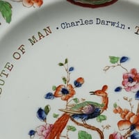 Image 2 of Charles Darwin quote (Ref. 567)
