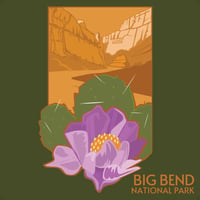Image 2 of Big Bend National Park Print