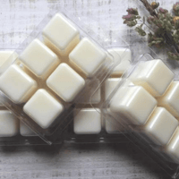 CLAMSHELL WAX MELTS