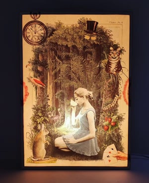 Image of Alicia in Wonderland