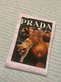 Image 1 of Prada Pumpkin Cat 