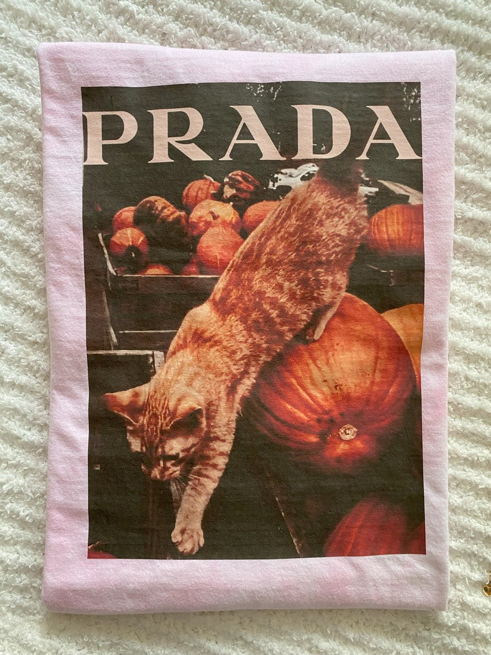 Prada Pumpkin Cat 