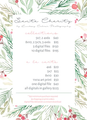 Image of Santa Charity Sessions