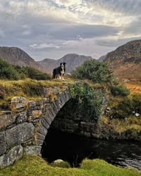 The Wooden Bridge. Dunlewey.