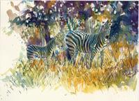 Mare and foal - framed original watercolour study