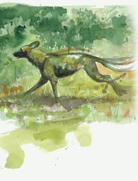 Image 1 of Running dog - Framed original watercolour study