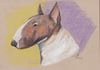 [Drawing] Bull Terrier