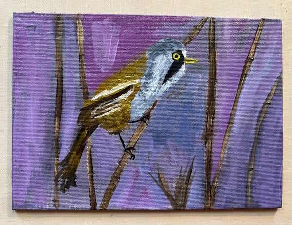 Image of Bearded Reedling - original oil painting