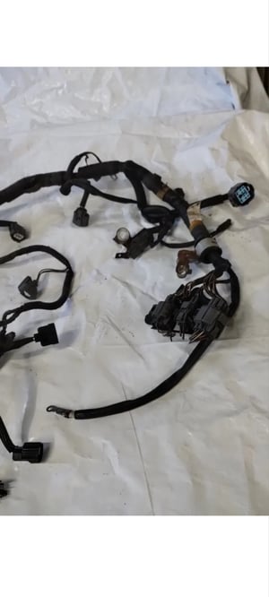 Image of 00 01 ACURA INTEGRA ENGINE MOTOR WIRE WIRING HARNESS OEM 5 SPEED MANUAL OBD1 B18