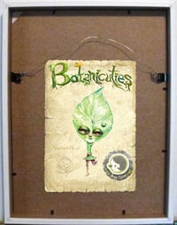 Image 3 of Botanicuties Specimen no. 9 - Framed original artwork