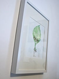 Image 4 of Botanicuties Specimen no. 9 - Framed original artwork