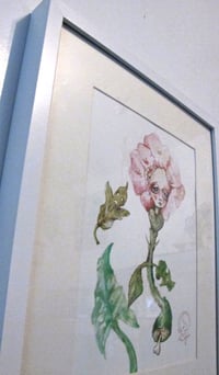 Image 4 of Botanicuties Specimen no. 14- Framed original artwork