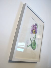 Image 4 of Botanicuties Specimen no. 2- Framed original artwork 