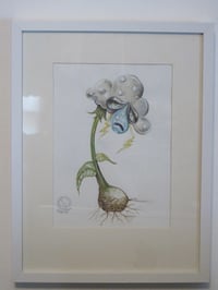 Image 2 of Botanicuties Specimen no. 16- Framed original artwork