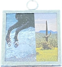 shore break horses and saguaro 