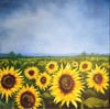 'Towards the light' sunflowers landscape