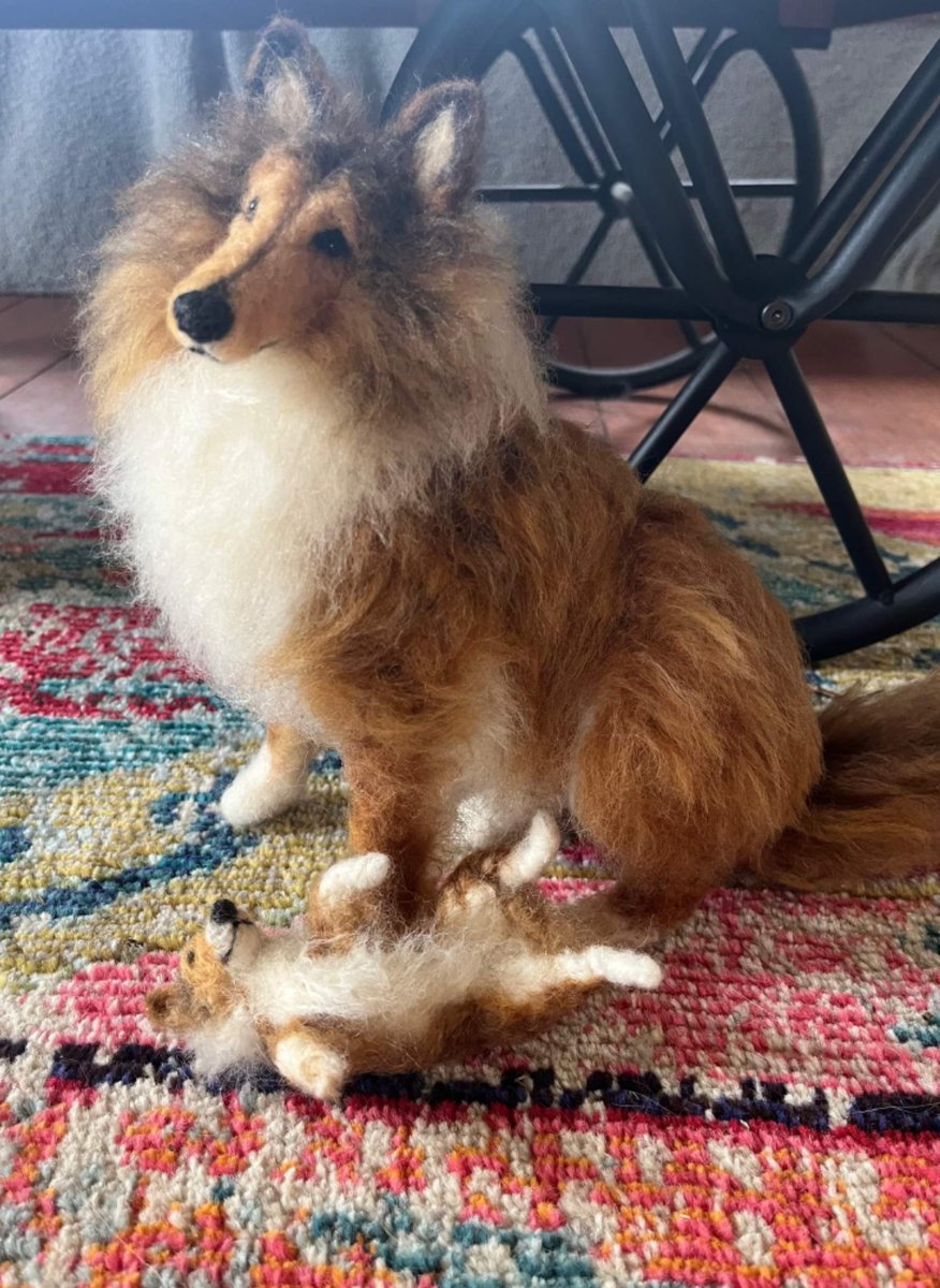 Screenshot_20231002- Screenshot_20231002-