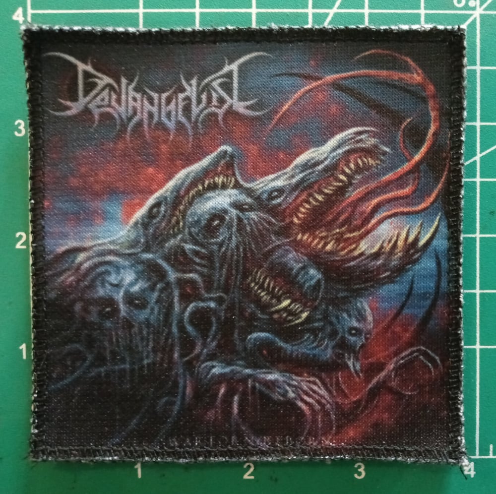Devangelist (band) War Torn / Reborn patch